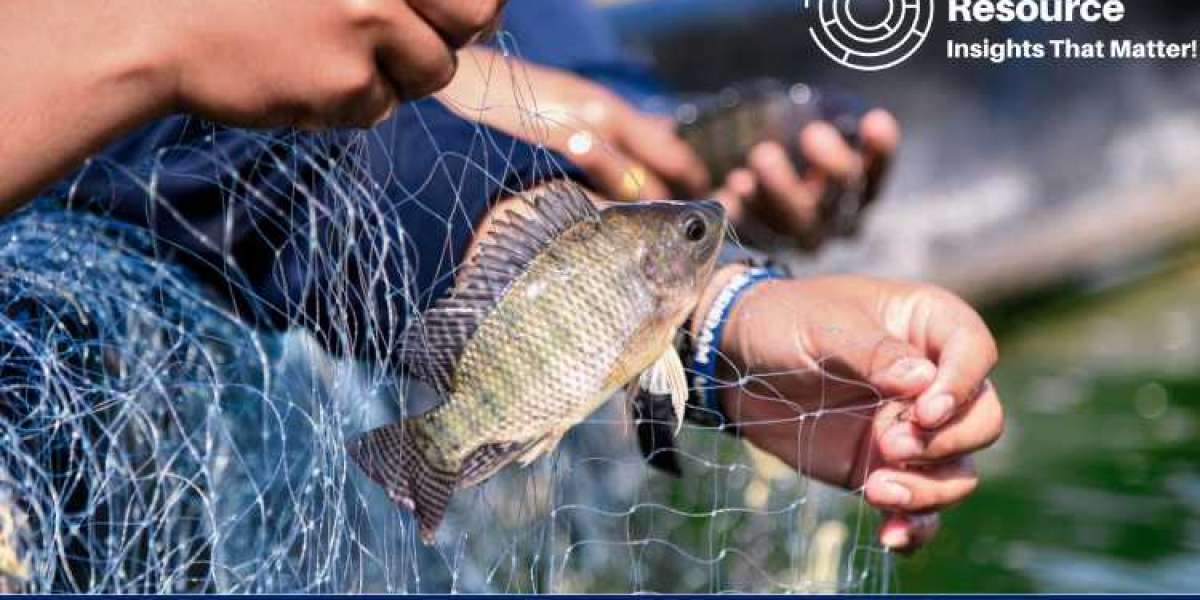 Tilapia Price Trend: In-Depth Analysis and Market Insights for 2024 and Beyond