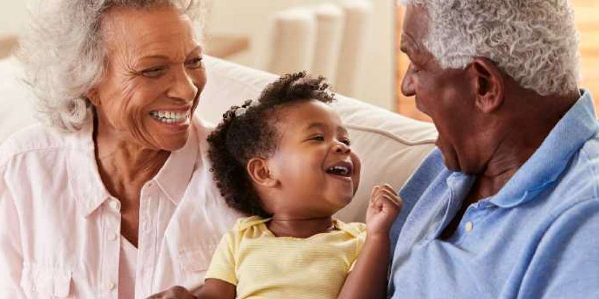 The Role of a Grandparents Visitation Lawyer in NM: Protecting Family Bonds