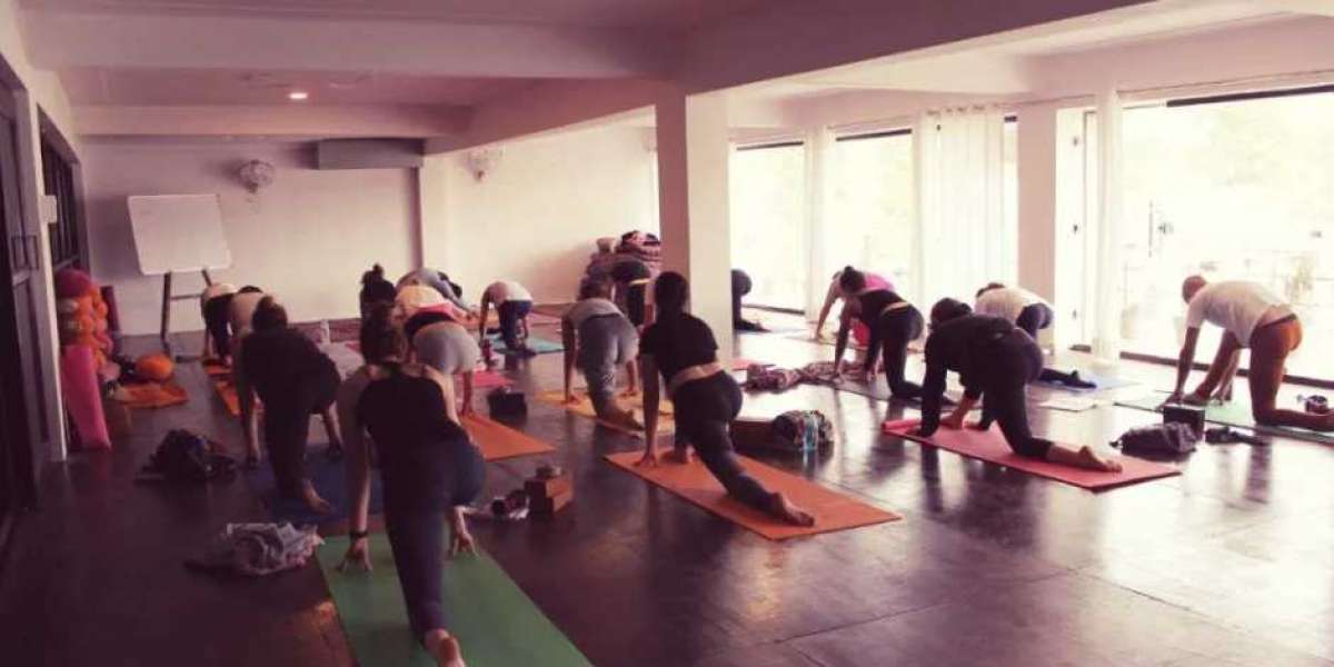 Hatha yoga school in India