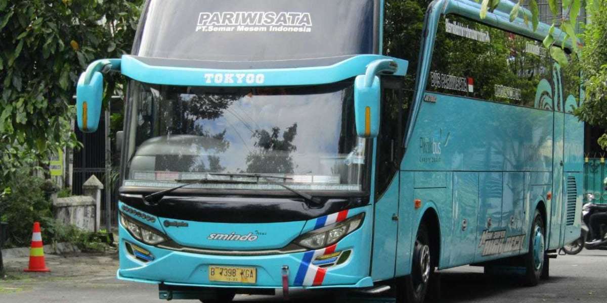 Optimalisasi Study Tour Anda: Kenali Keuntungan Sewa Bus Pariwisata