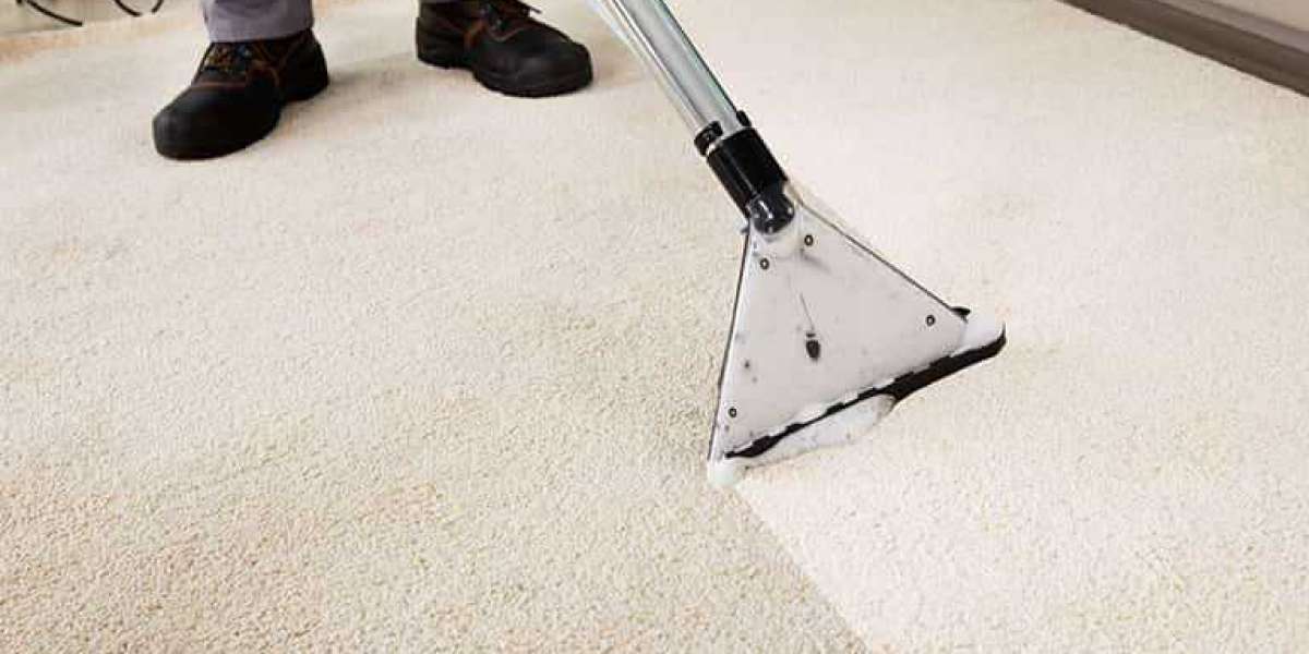 How Carpet Cleaning Transforms Your Home’s Comfort Levels