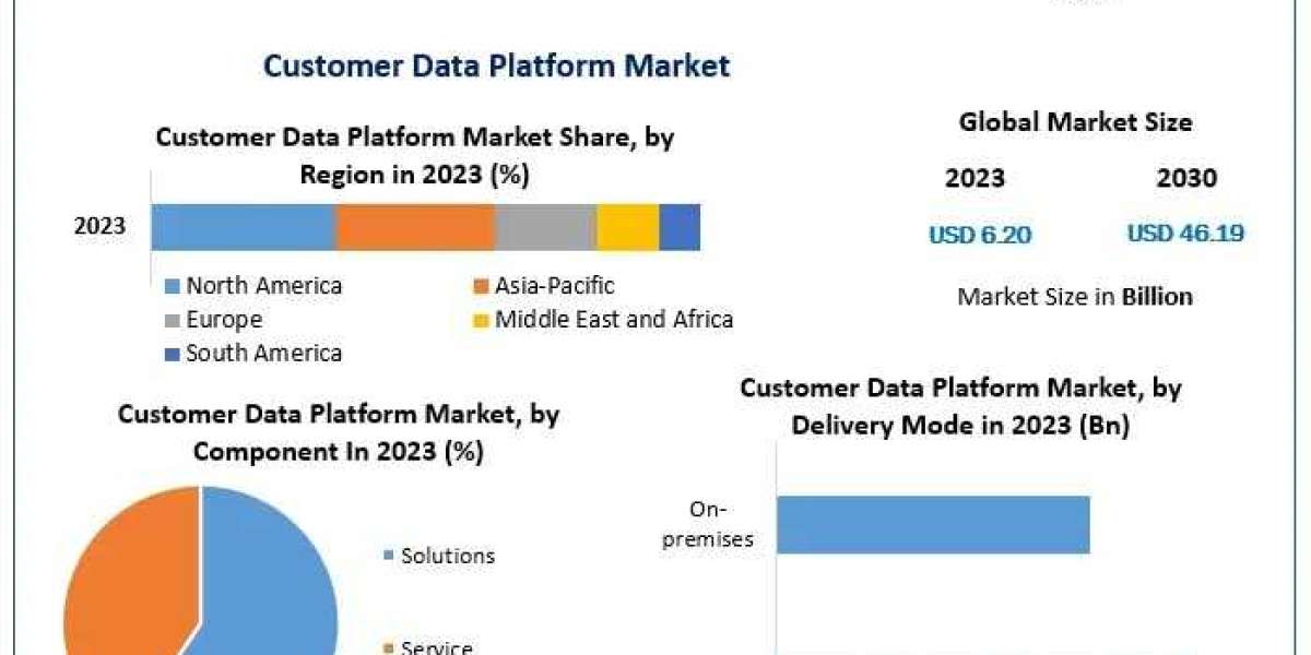 Customer Data Platform Market Research, Forecast, and Size Overview (2024-2030)