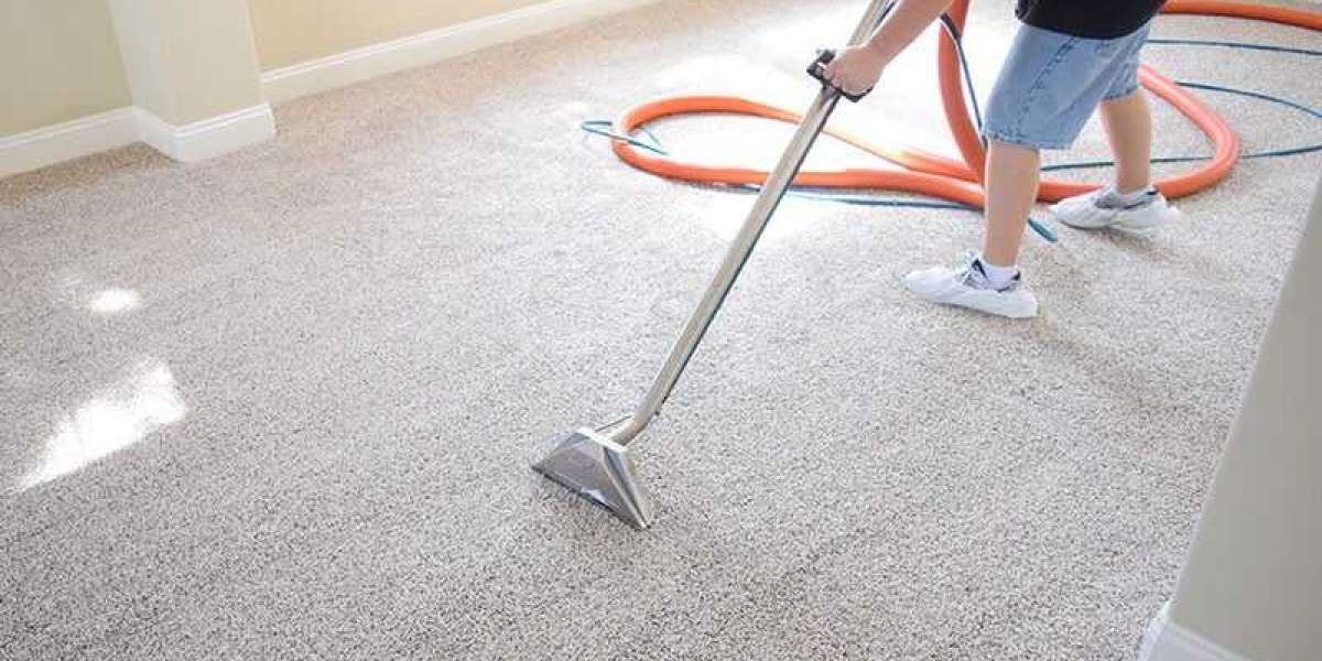 Elevating Home Comfort Through Carpet Cleaning