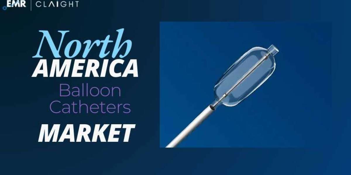 North America Balloon Catheters Market Size, Share, Trends, Drivers, Key Players, & Future Outlook | 2024 - 2032