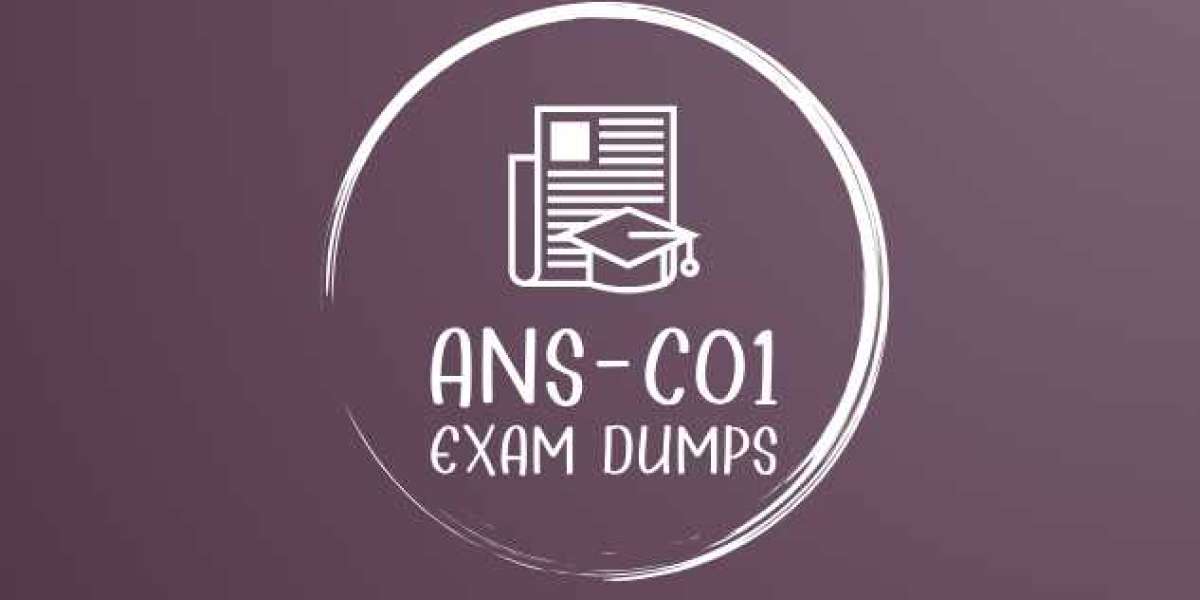 Efficient Exam Prep with DumpsBoss ANS-C01 Exam Dumps