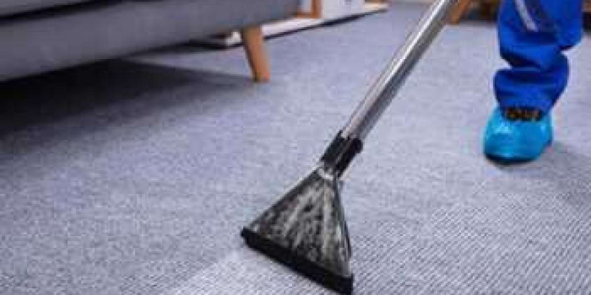 The Necessity of Professional Carpet Cleaning for a Healthy Home