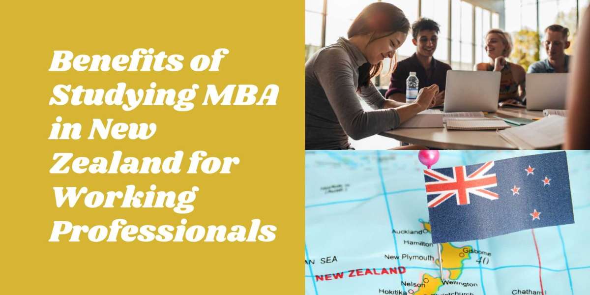 Benefits of Studying MBA in New Zealand for Working Professionals