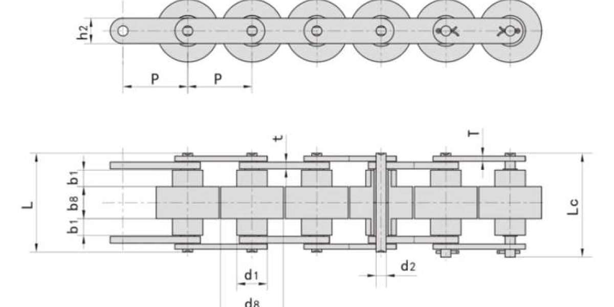 What are the common types of x-ring sealed chain in the conveyor