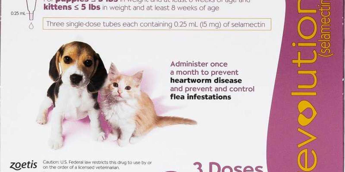 Top Recommended 幼犬杜蟲藥 for Effective Deworming